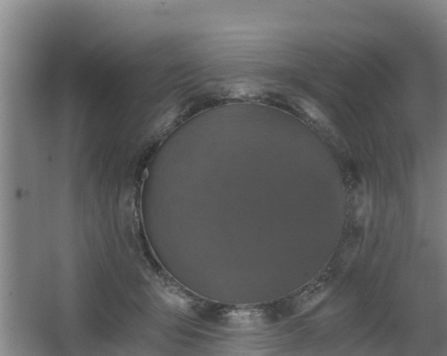 X0000068280415200604281623