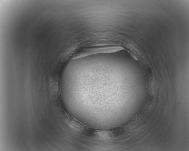 X0000068280417200604281623