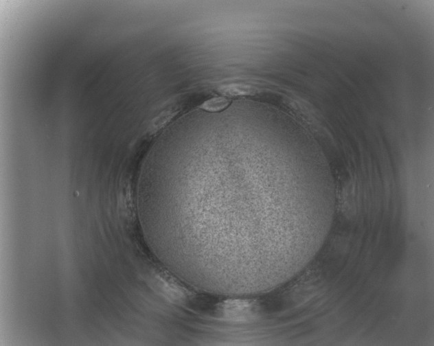 X0000068280418200604281623