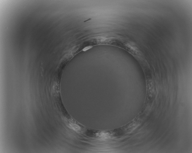 X0000068280419200604281623