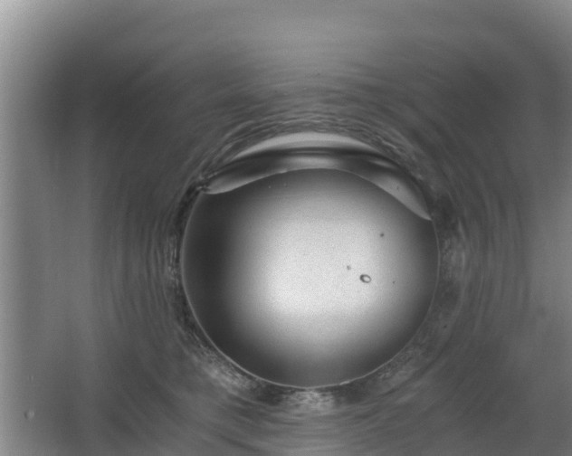 X0000068280421200604281622