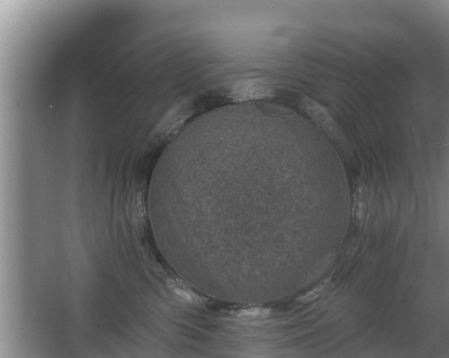 X0000068280426200604281622