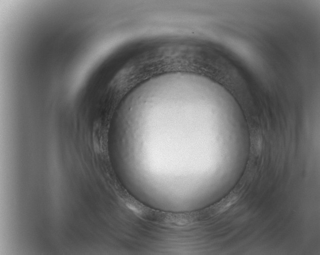 X0000068280431200604281622