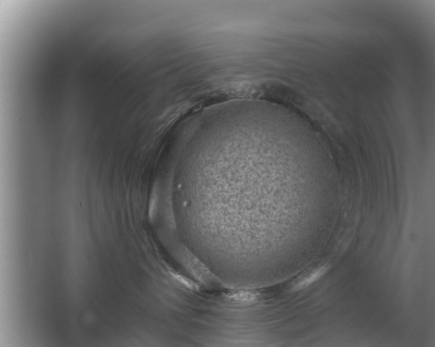 X0000068280432200604281622