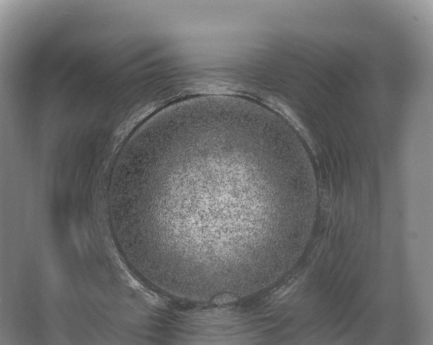 X0000068280433200604281621