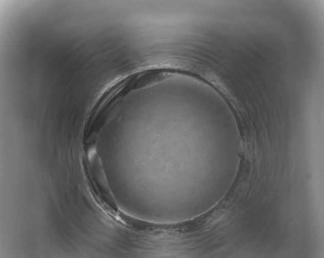 X0000068280434200604281621