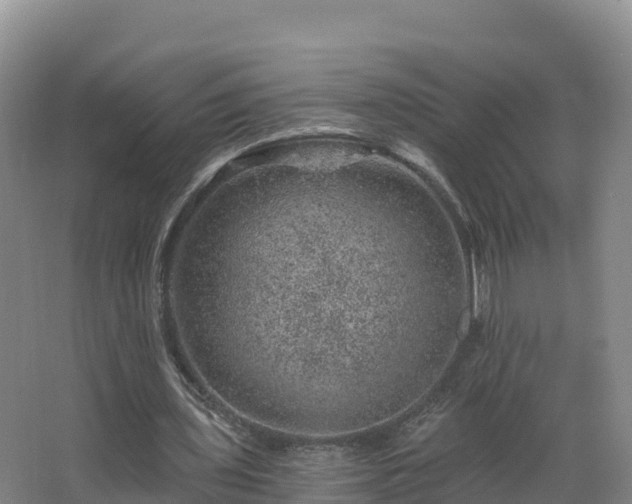 X0000068280435200604281621