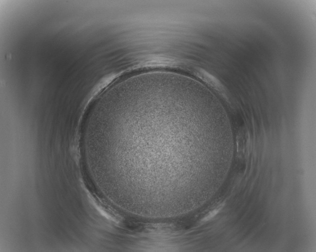 X0000068280436200604281622