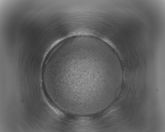 X0000068280438200604281622