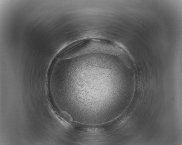 X0000068280439200604281622