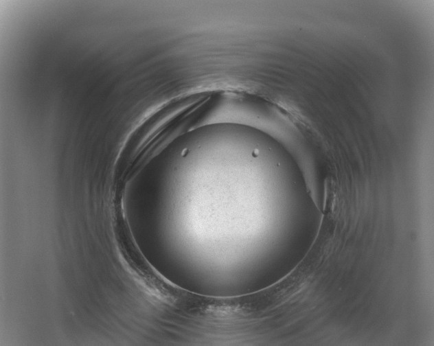 X0000068280440200604281622