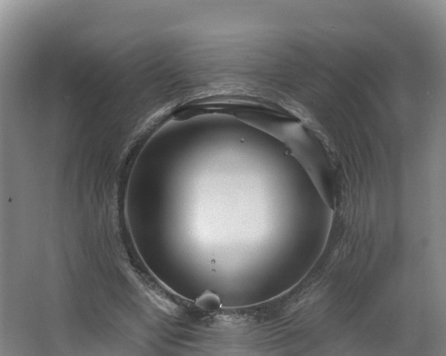 X0000068280442200604281622