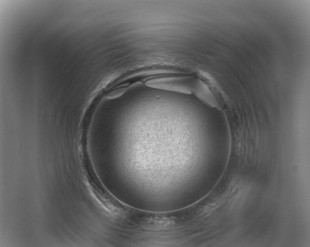 X0000068280443200604281622