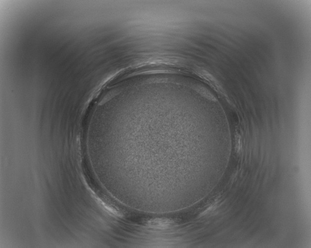 X0000068280444200604281622