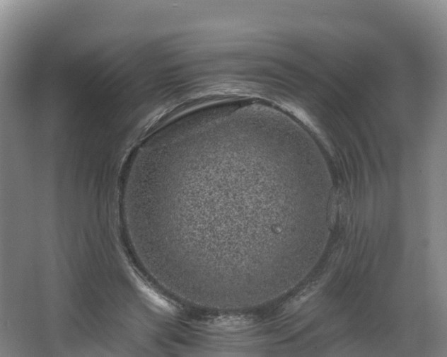 X0000068280445200604281622