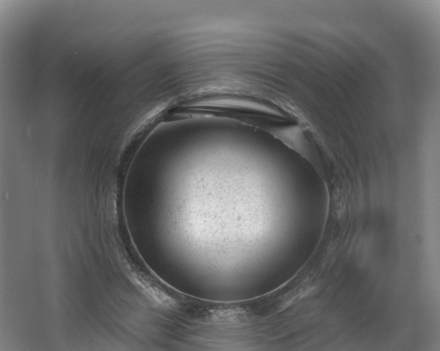 X0000068280446200604281622