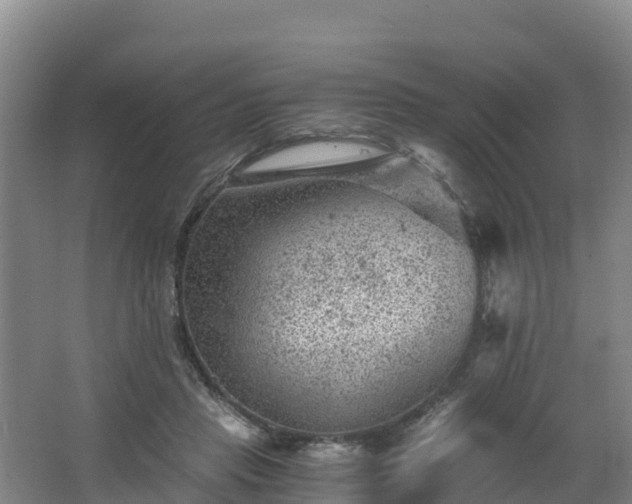 X0000068280453200604281622