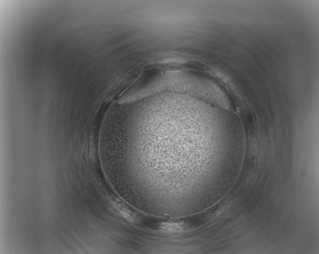 X0000068280457200604281622