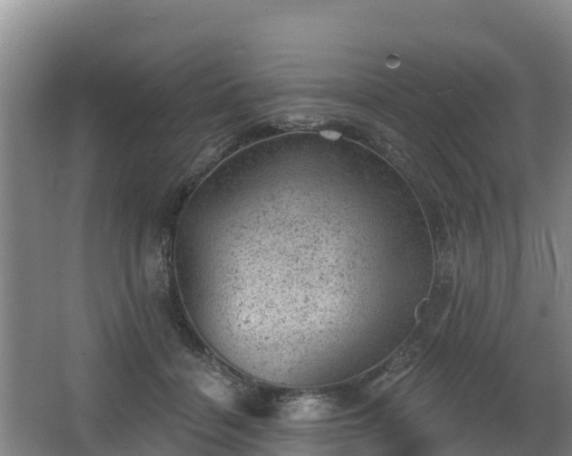 X0000068280460200604281622