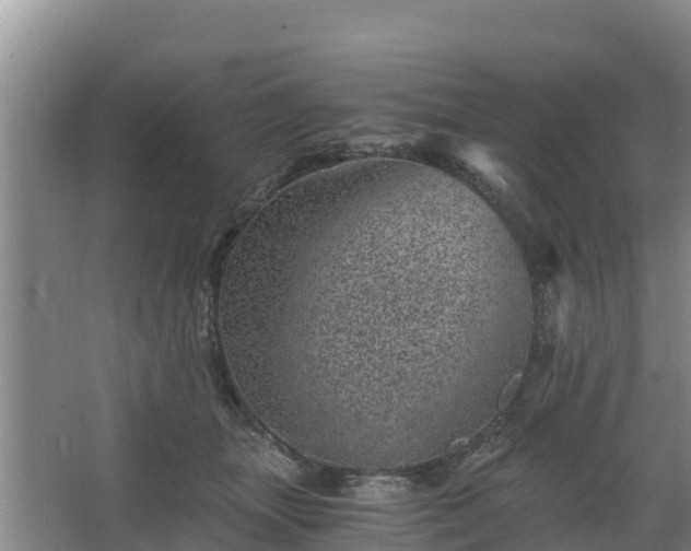 X0000068280463200604281622