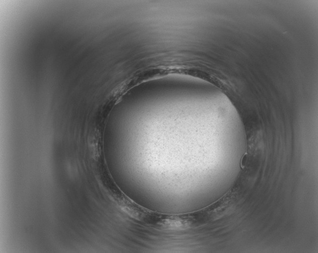 X0000068280464200604281622