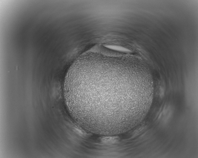 X0000068280465200604281622