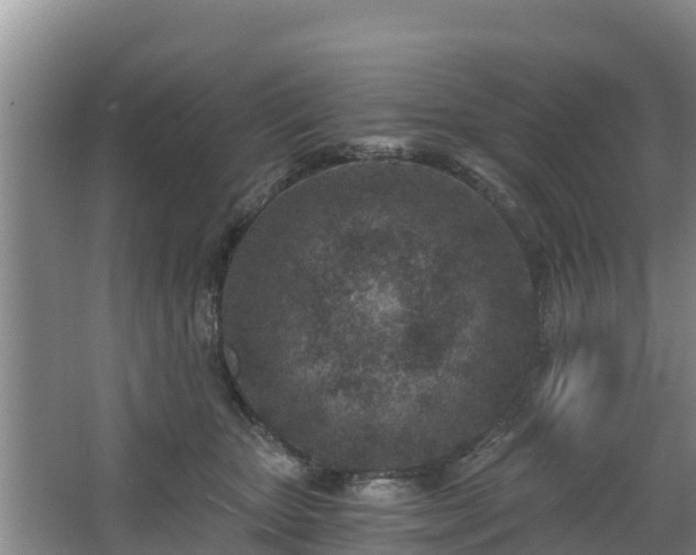 X0000068280467200604281622