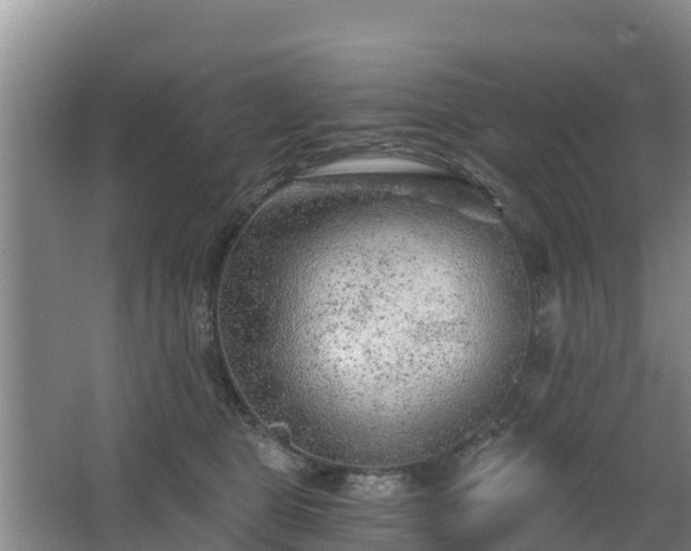 X0000068280469200604281622