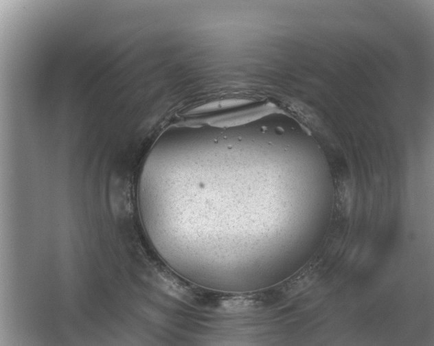 X0000068280470200604281622