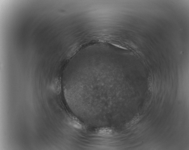 X0000068280471200604281622