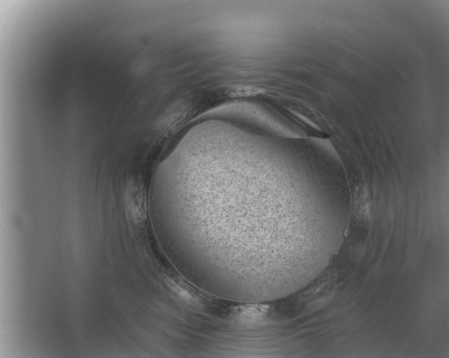 X0000068280474200604281622