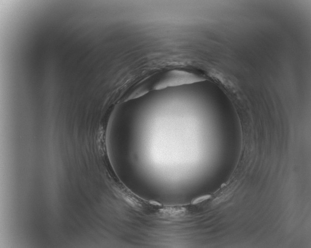 X0000068280480200604281622