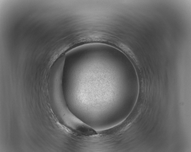 X0000068280481200604281621