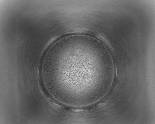 X0000068280483200604281621