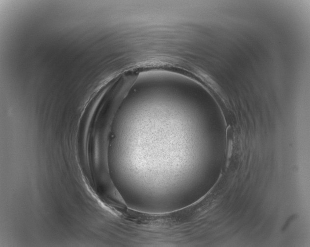 X0000068280485200604281621