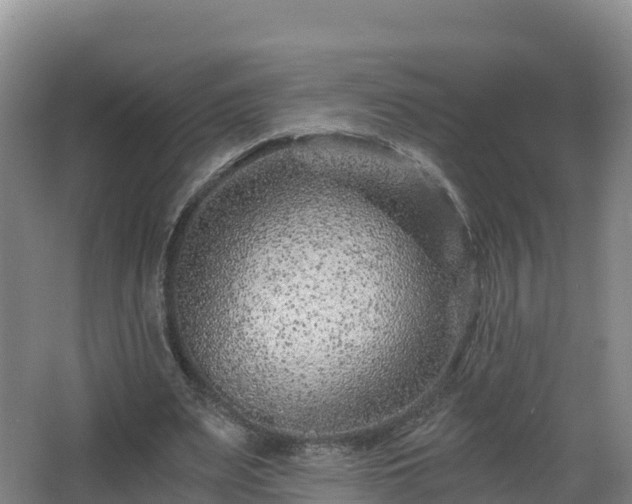 X0000068280487200604281621