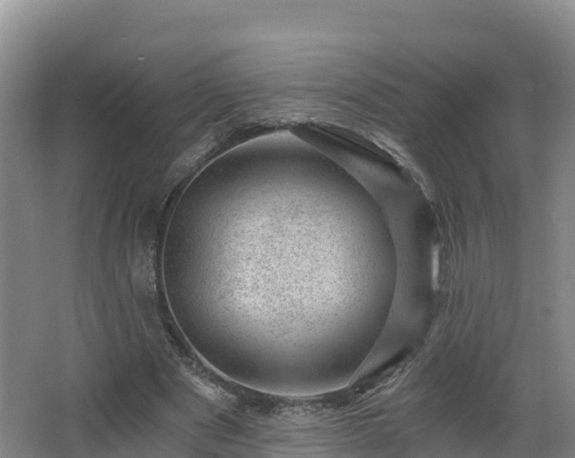 X0000068280489200604281621