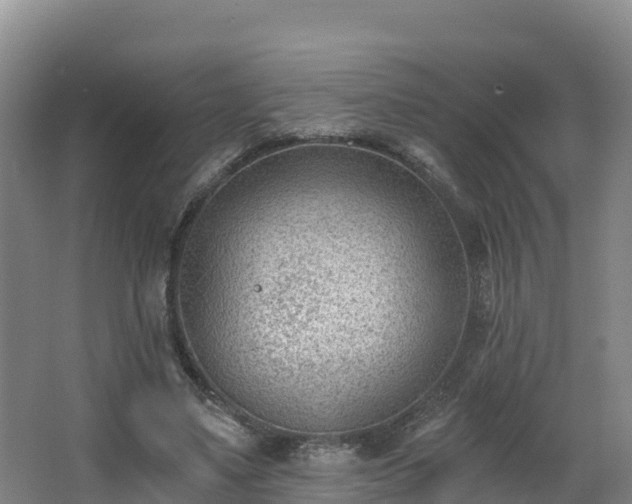 X0000068280491200604281621