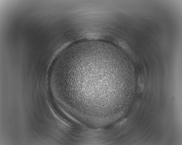 X0000068280492200604281621