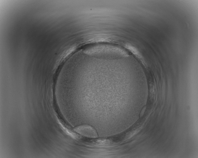 X0000068280493200604281621