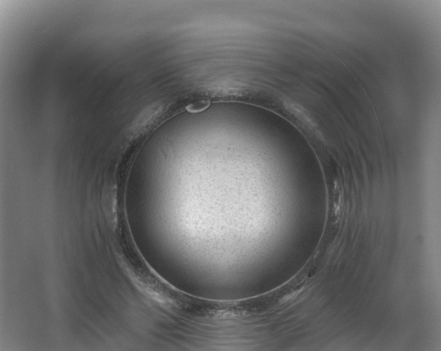 X0000068280494200604281621