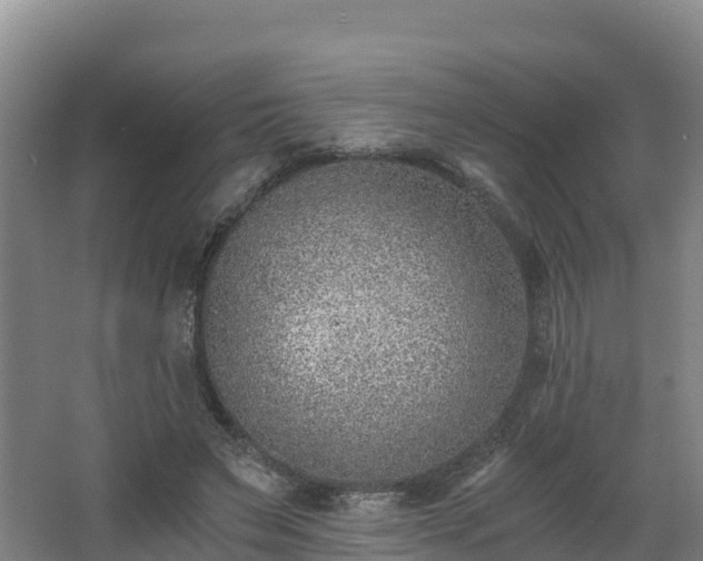 X0000068280495200604281621