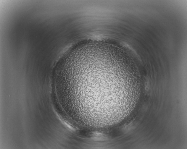 X0000068280496200604281621