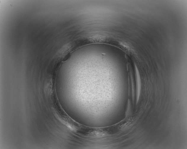 X0000068280498200604281621