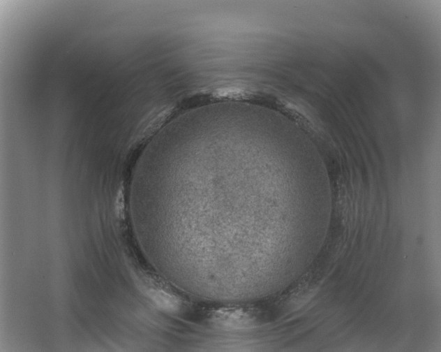 X0000068280502200604281621