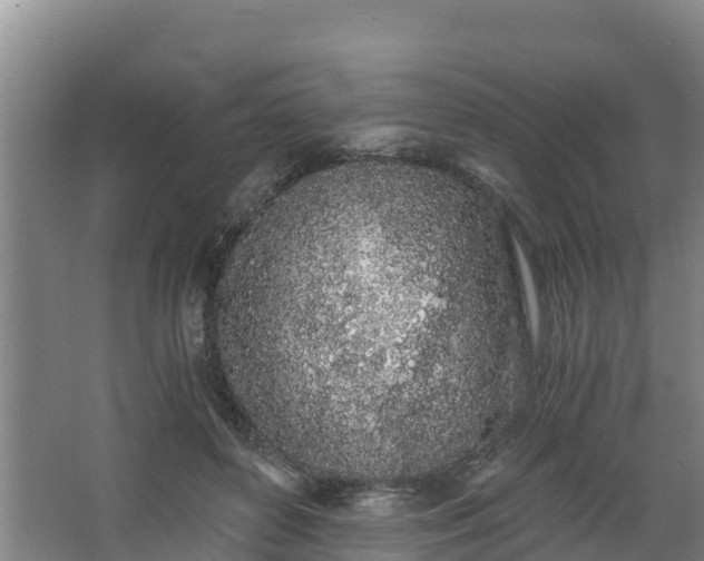 X0000068280504200604281621