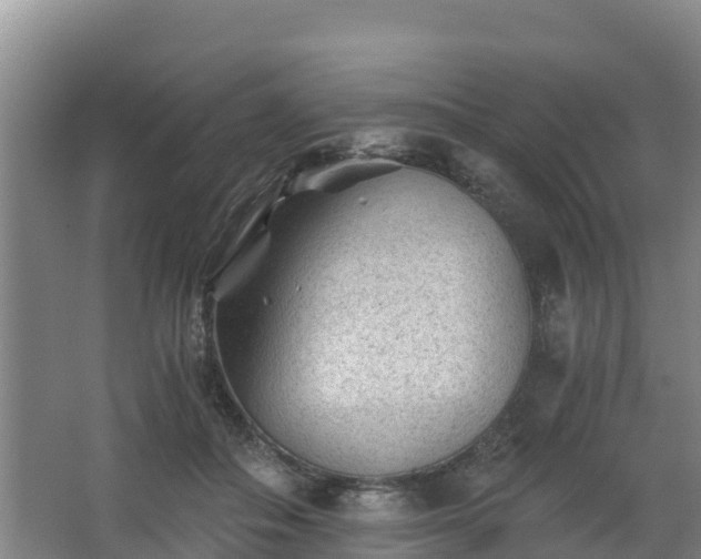 X0000068280506200604281621