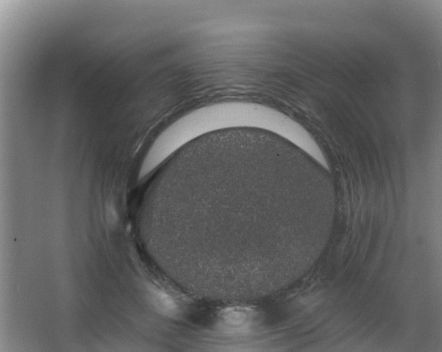 X0000068280508200604281621