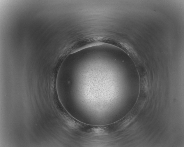 X0000068280509200604281621