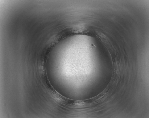 X0000068280510200604281621